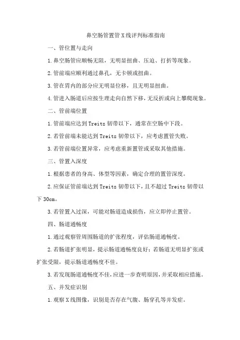 鼻空肠管置管x线评判标准指南