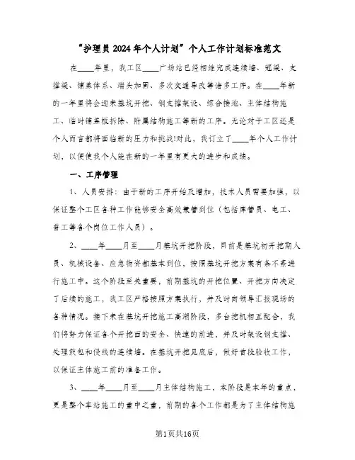 “护理员2024年个人计划”个人工作计划标准范文（4篇）