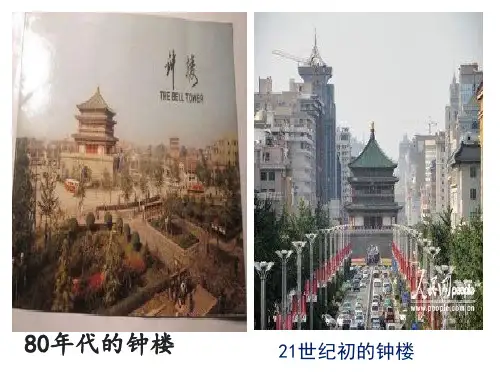 城市化过程及特点ppt课件