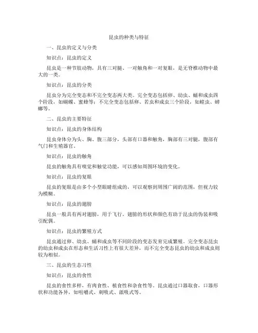 昆虫的种类与特征