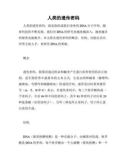 人类的遗传密码