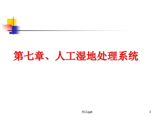 人工湿地处理系统PPT课件