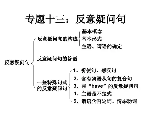 专题十三 反意疑问句