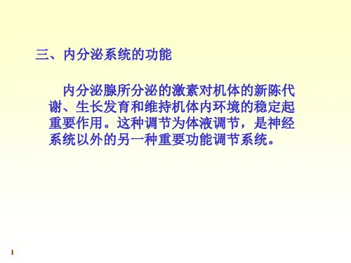 人体系统解剖教程24-内分泌系统-文档资料