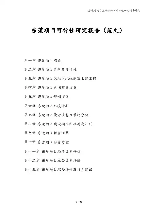 东莞项目可行性研究报告(范文)