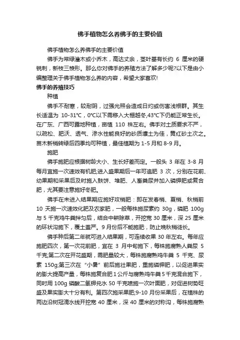 佛手植物怎么养佛手的主要价值