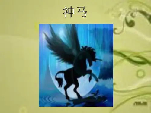 ASUS的发展历史 !