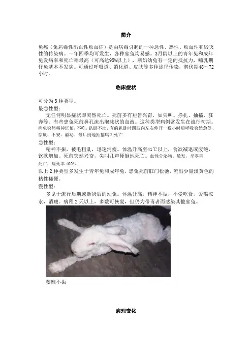 兔瘟