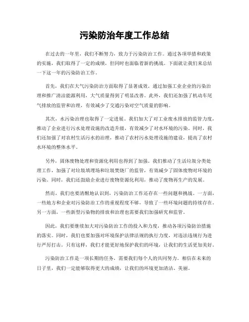 污染防治年度工作总结