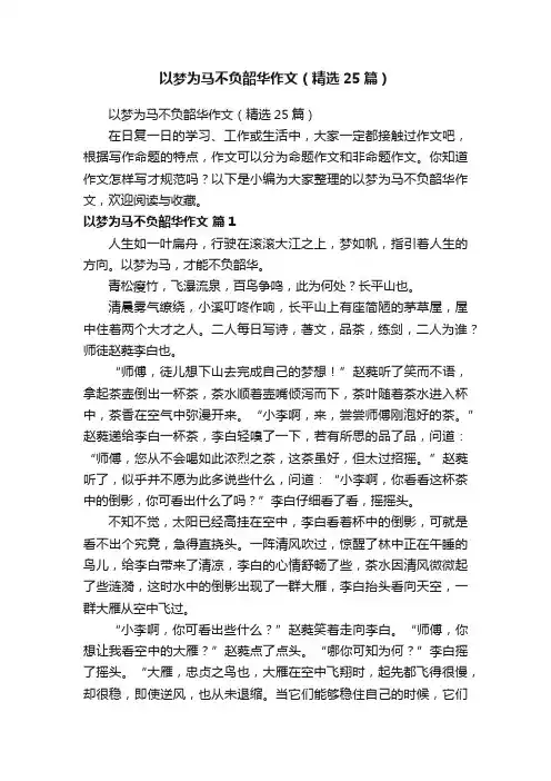 以梦为马不负韶华作文（精选25篇）