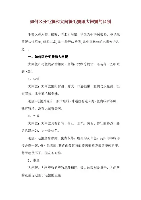 如何区分毛蟹和大闸蟹 毛蟹跟大闸蟹的区别