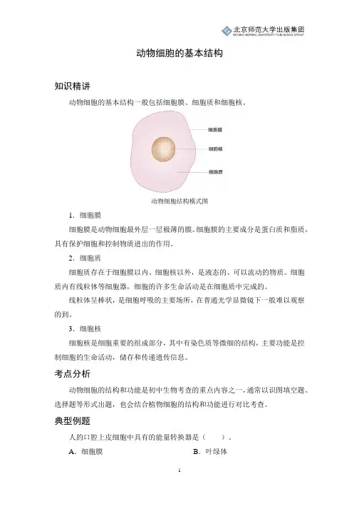 初中生物知识讲解：动物细胞的基本结构