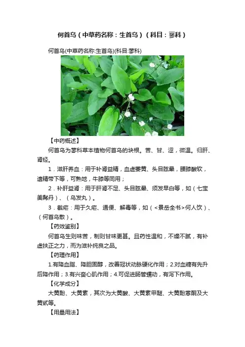 何首乌（中草药名称：生首乌）（科目：蓼科）