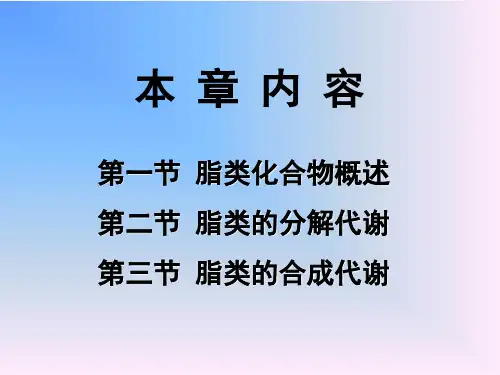 脂质及脂代谢