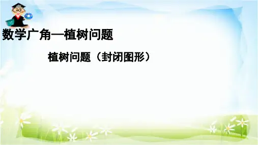 数学广角—植树问题植树问题(封闭图形)