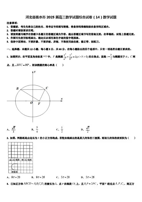 河北省衡水市2025届高三数学试题综合试卷(14)数学试题