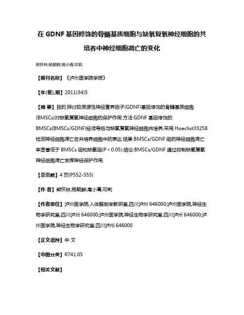 在GDNF基因修饰的骨髓基质细胞与缺氧复氧神经细胞的共培养中神经细胞凋亡的变化