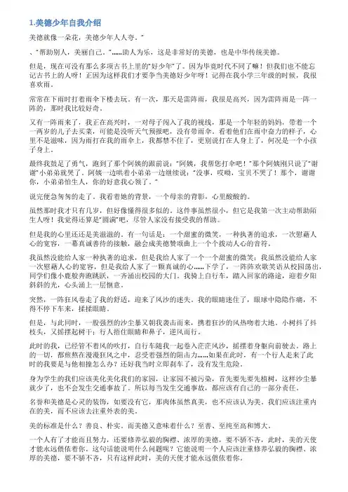 美德少年个人简介范文