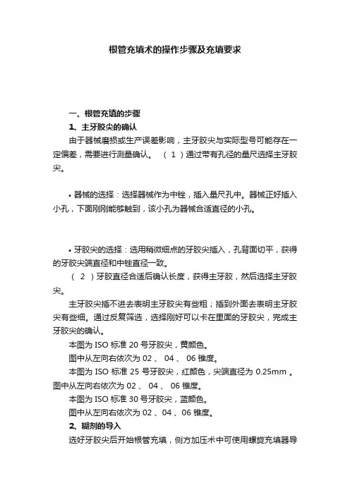 根管充填术的操作步骤及充填要求