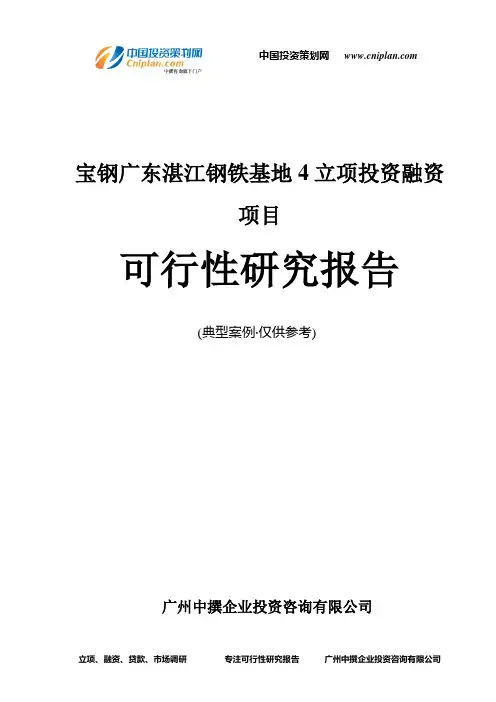 宝钢广东湛江钢铁基地4融资投资立项项目可行性研究报告(非常详细)