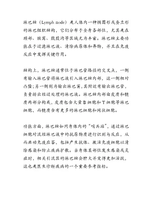 名词解释 淋巴结