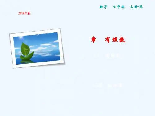 2018年七年级数学上册 第1章 有理数 1.2 有理数 1.2.4 绝对值(第2课时)讲义 (新版)新人教版
