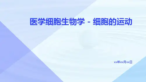 医学细胞生物学-细胞的运动