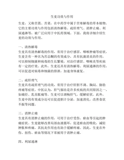 生麦功效与作用
