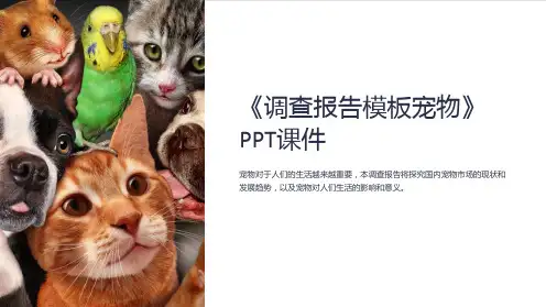 《调查报告模板宠物》课件