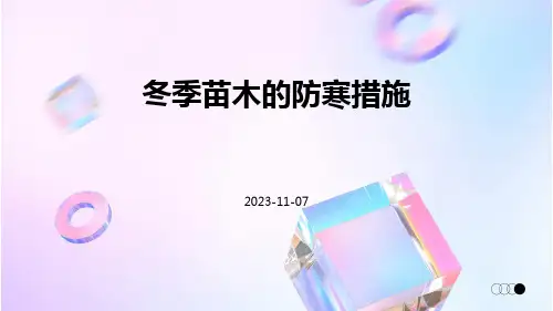 冬季苗木的防寒措施