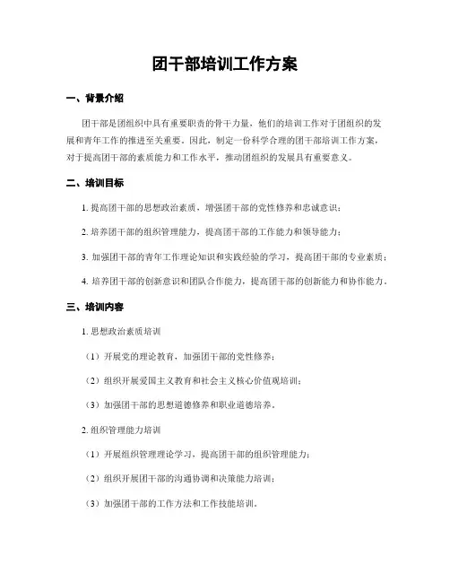 团干部培训工作方案