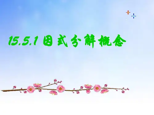 因式分解的概念PPT