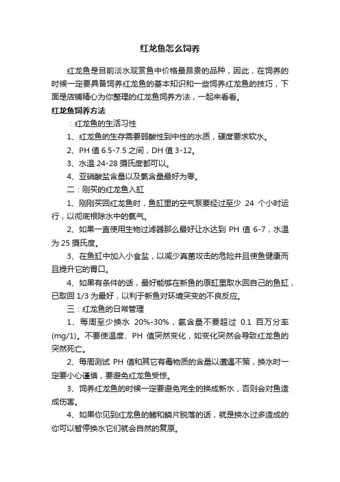 红龙鱼怎么饲养