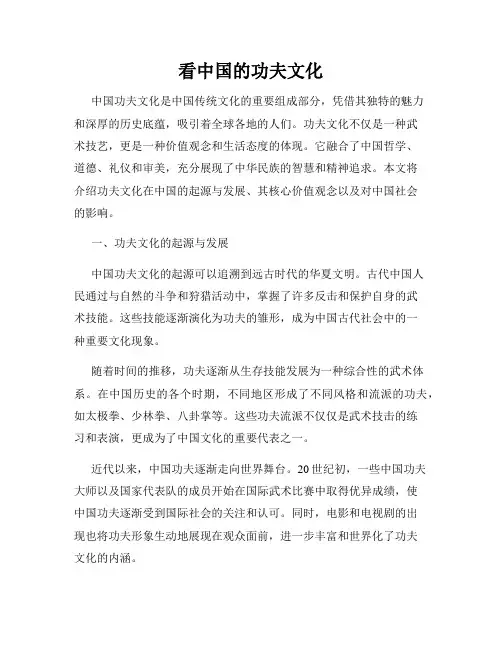 看中国的功夫文化