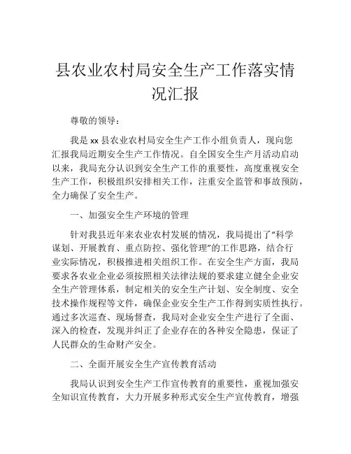 县农业农村局安全生产工作落实情况汇报