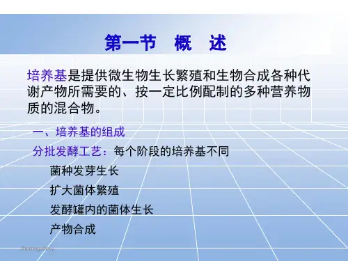 发酵工程第四章培养基PPT精品文档29页