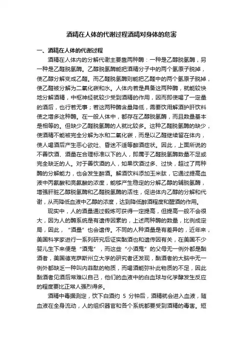 酒精在人体的代谢过程酒精对身体的危害
