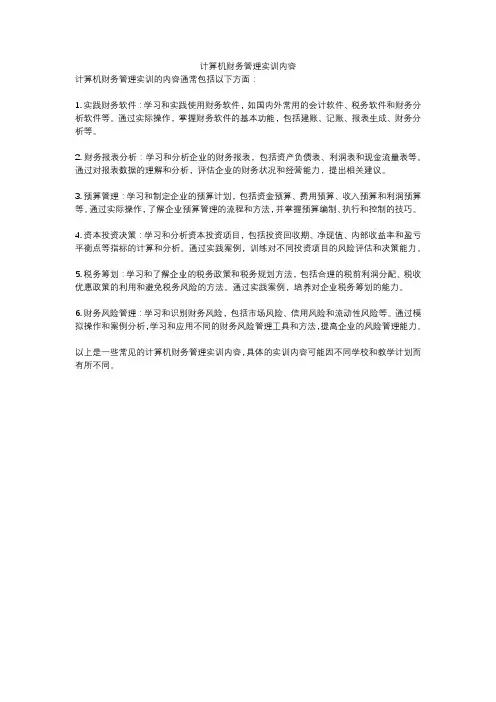 计算机财务管理实训内容