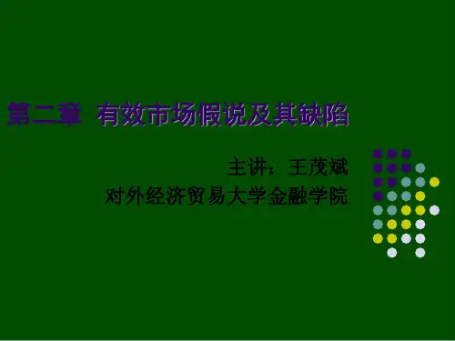 标准金融理论体系与有效市场假说(ppt 18页)