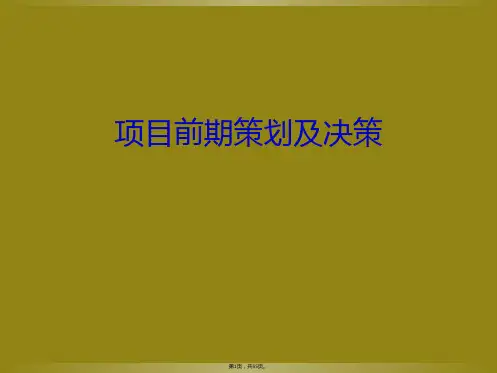项目前期策划及决策