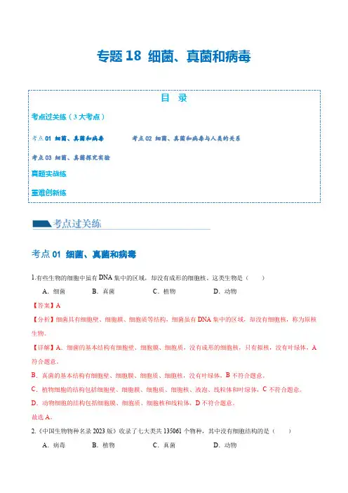 专题18细菌、真菌和病毒(练习)(解析版)-2024年中考生物一轮复习讲义