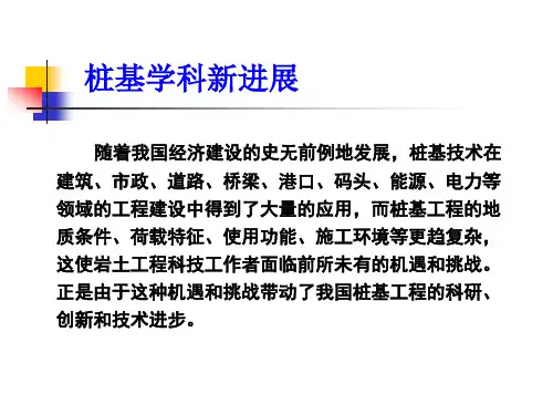 桩基学科新进展史佩栋教授