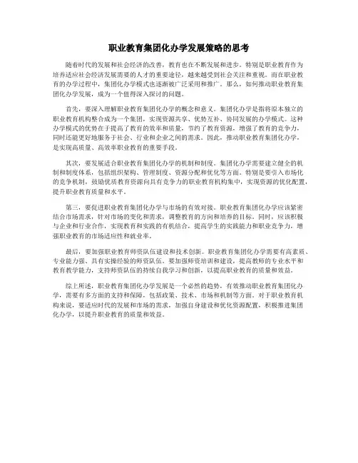 职业教育集团化办学发展策略的思考