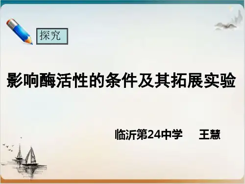 探究影响酶活性的条件公开课-PPT