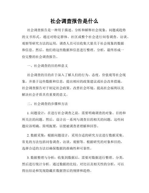 社会调查报告是什么