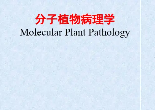分子植物病理学