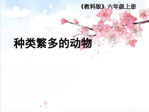 教科版小学科学六上  种类繁多的动物精品PPT课件