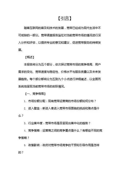 宽带调查报告(共)