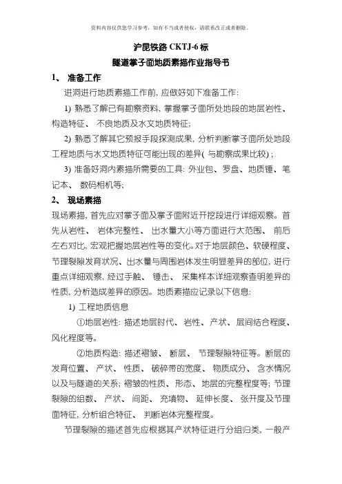 隧道地质素描作业指导书附件素描模板