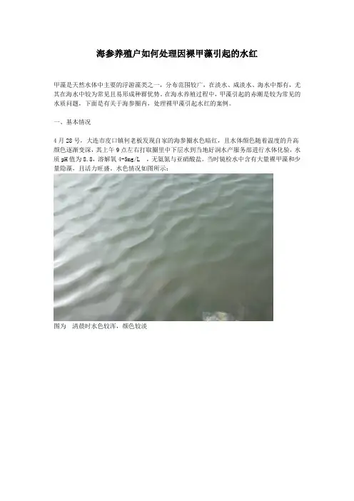 海参养殖户如何处理因裸甲藻引起的水红